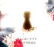 【Vmoe字幕组】黑猫 by 赤髮P【中文字幕】